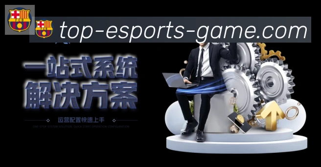 DOTA比分荣誉