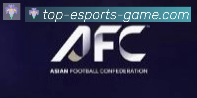 DOTA比分合作伙伴
